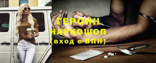 гашик Няндома