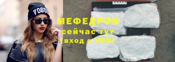 гашик Няндома