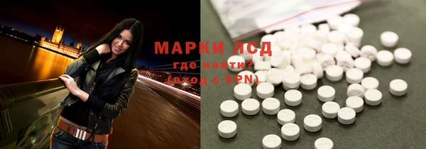 гашик Няндома