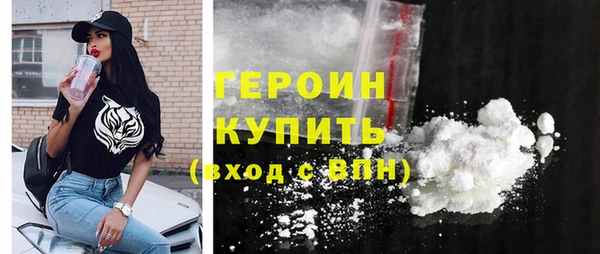 гашик Няндома
